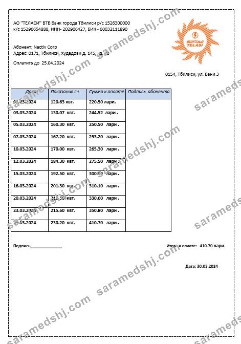 Georgia Telasi business utility bill template in Word and PDF formats, fully editable1